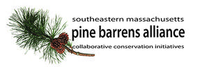 Pine Barron Alliance