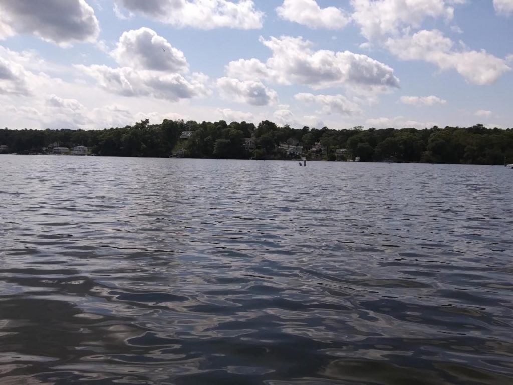 Cyanobacteria News Herring Ponds Watershed Association