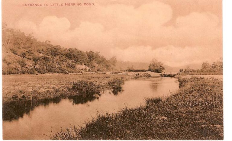 Vintage Postcards of Great Herring Pond Area Herring Ponds Watershed