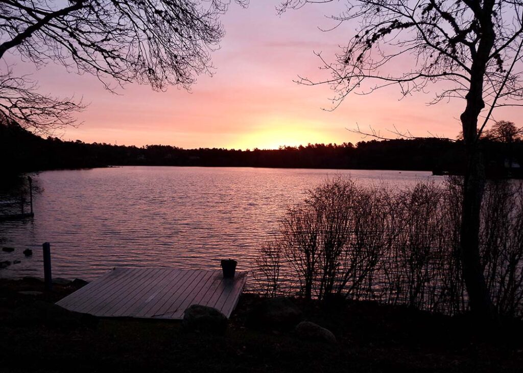 Photo Gallery Winter 202223 Herring Ponds Watershed Association